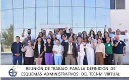 REUNIÓN DE TRABAJO PARA LA DEFINICIÓN DE LOS ESQUEMAS ADMINISTRATIVOS DEL TECNM VIRTUAL
