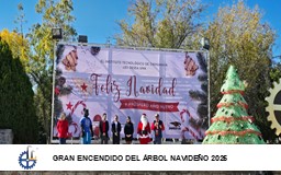 GRAN ENCENDIDO DEL ÁRBOL NAVIDEÑO 2025